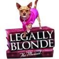 Legally Blonde Audience 2022